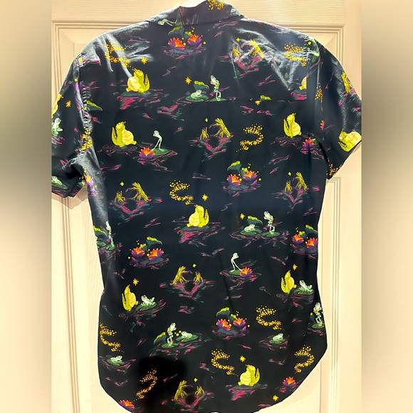 ✨Disney Princess and the Frog 🐸 - Picture 2 of 4